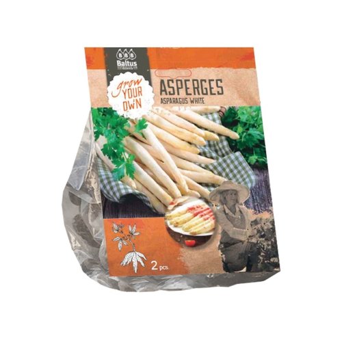 Baltus Asparagus Wit per 2