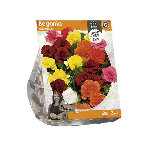 Baltus Begonia Double Mix (SP) per 3