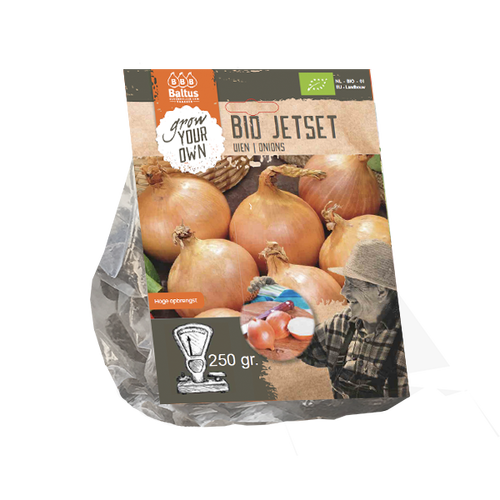 Baltus BIO Uien Jetset (per 250 gram)