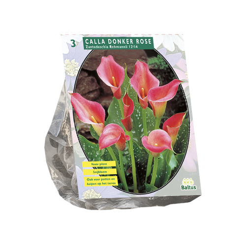 Baltus Calla Zantedeschia, Donkerroze per 3