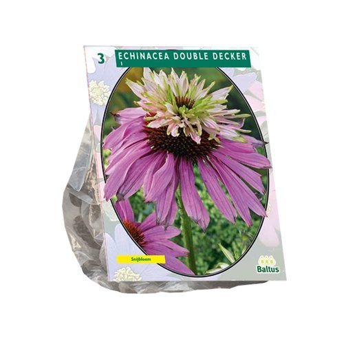 Baltus Echinacea Double Decker per 3