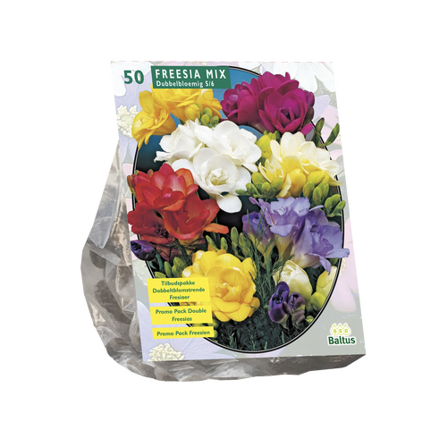 Freesia Dubbel Mix