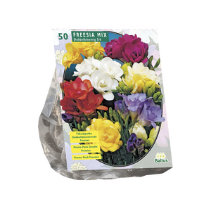 Freesia Dubbel Mix