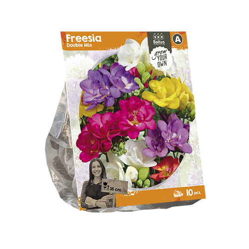 Baltus Freesia Double Mix (SP) per 10