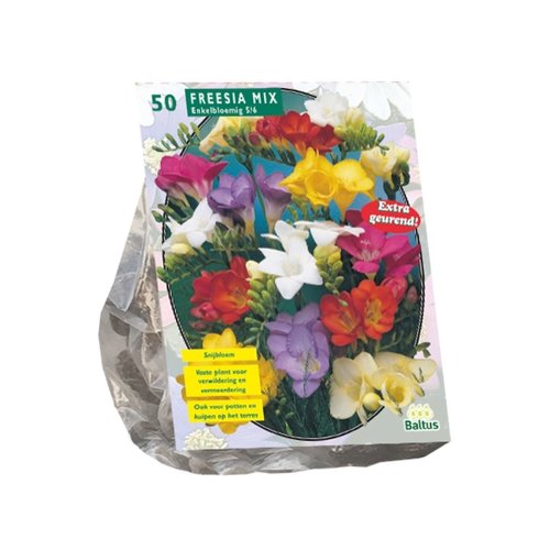 Baltus Freesia Single, Mix per 50