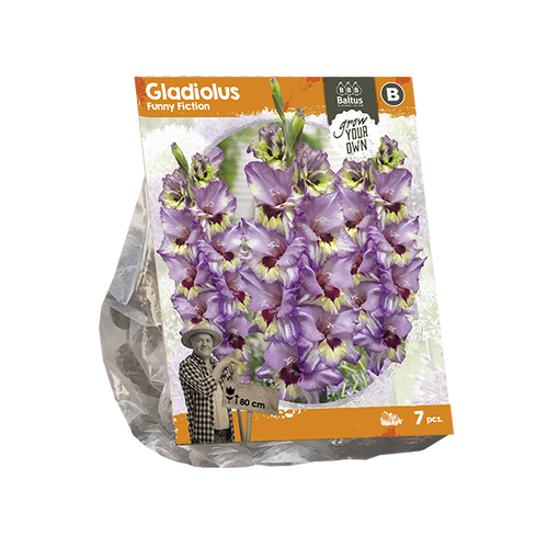 Baltus Gladiolus Funny Fiction (SP) per 7
