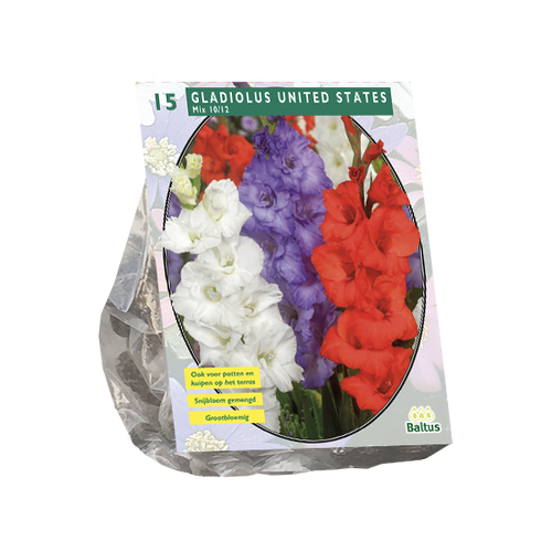 Baltus Gladiolus United States Mix per 15