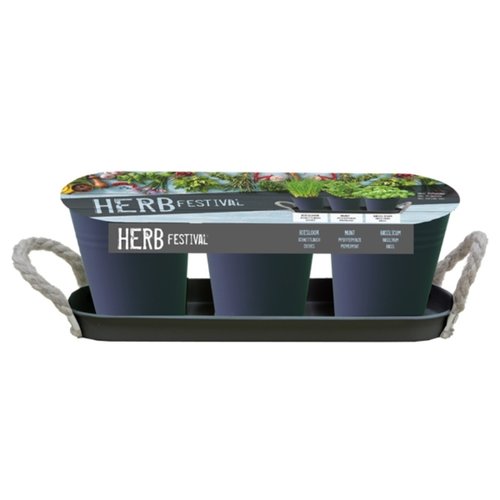 Baltus Herb Festival - 3 (Grijs)