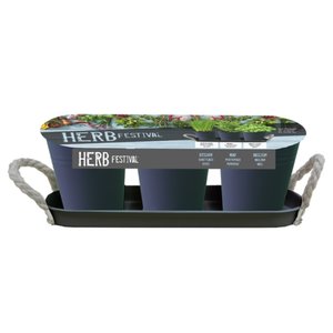 Baltus Herb Festival - 3 (Grijs)