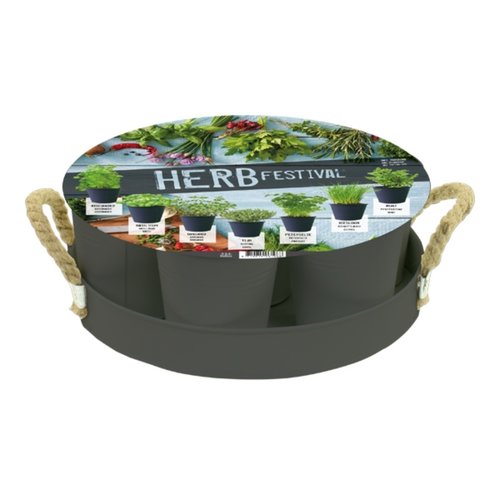 Baltus Herb Festival - 7 (Grijs)