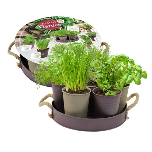 Baltus Herb Festival - 7 (Taupe)