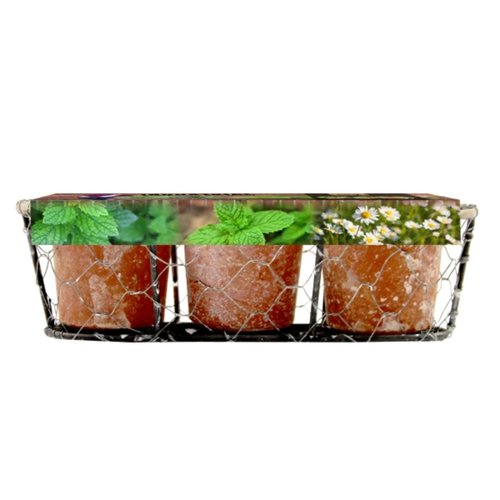 Baltus Industrial - Herbs per 3