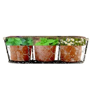 Baltus Industrial - Herbs per 3