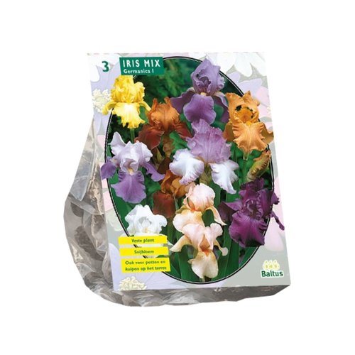 Baltus Iris Germanica, Gemengd per 3