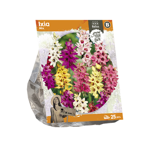Baltus Ixia Mix (SP) per 25