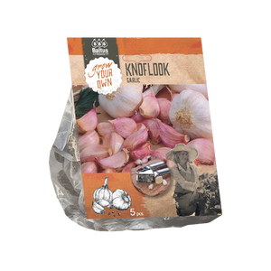 Baltus Knoflookbollen per 5