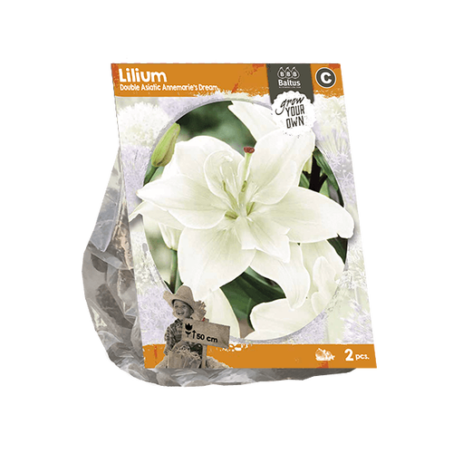 Baltus Lilium Double Asiatic Annemarie's Dream (SP) per 2