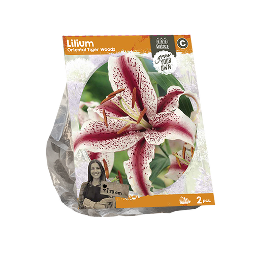 Baltus Lilium Oriental Tiger Woods (SP) per 2