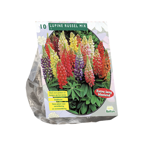 Baltus Lupine Russel, Mix per 10