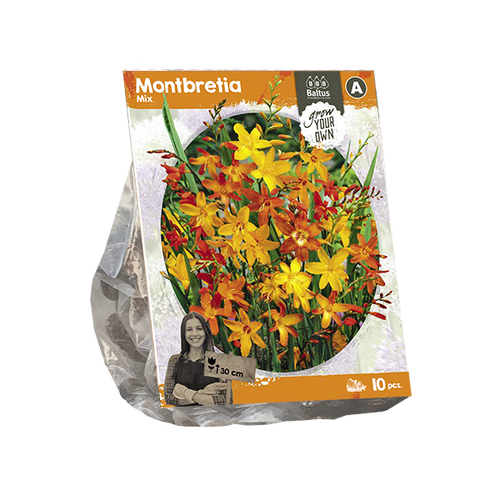 Baltus Montbretia Mix (SP) per 10
