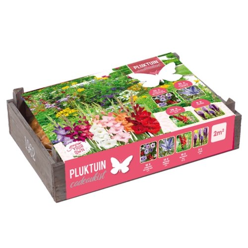 Baltus Pluktuin cadeaukist