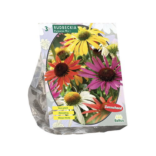 Baltus Rudbeckia Mix per 3