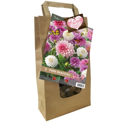 Baltus Urban Flower Lovers - Pink Beauties per 3