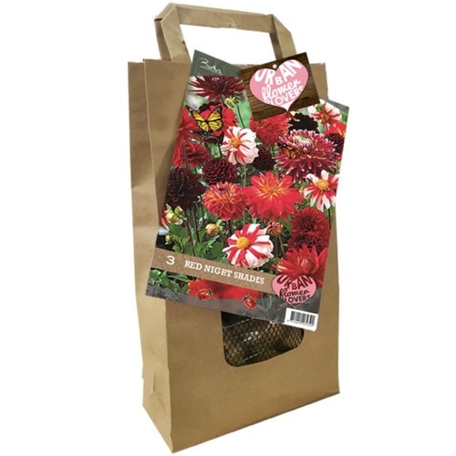 Baltus Urban Flower Lovers - Red Night Shades per 3