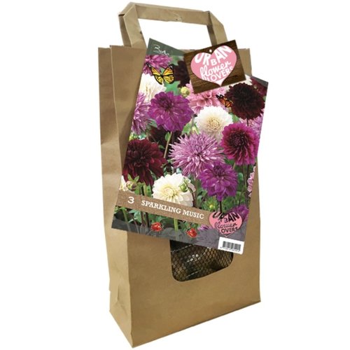 Baltus Urban Flower Lovers - Sparkling Music per 3