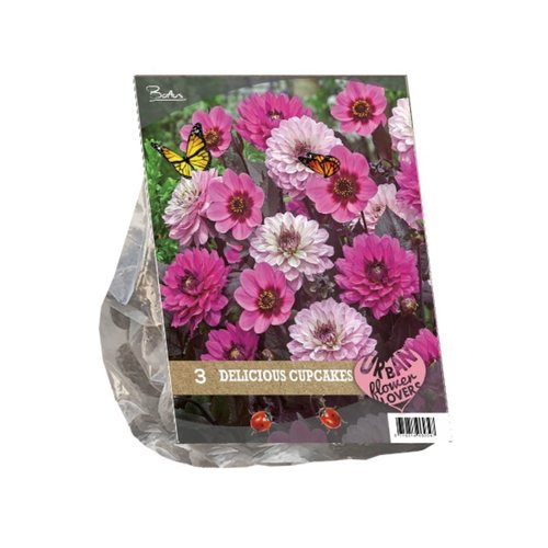 Baltus Urban Flowers - Delicious Cupcakes per 3