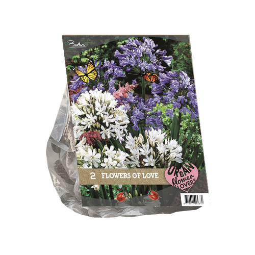 Baltus Urban Flowers - Flowers of Love per 2