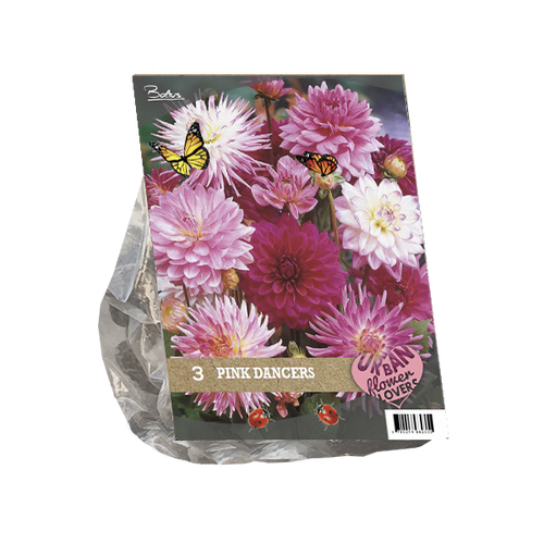 Baltus Urban Flowers - Pink Dancers per 3