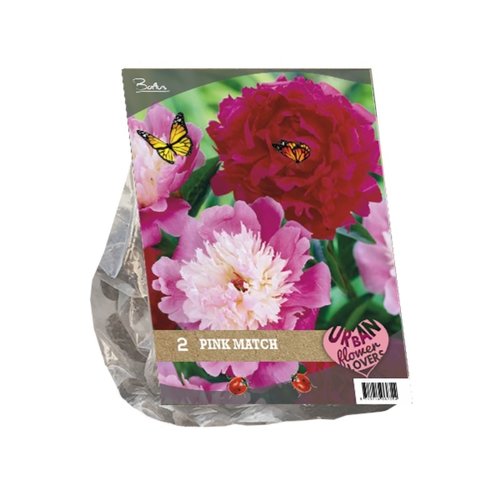 Baltus Urban Flowers - Pink Match per 2