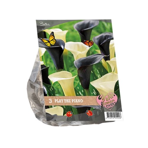 Baltus Urban Flowers - Play the piano per 3