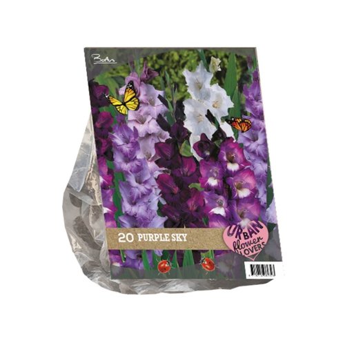 Baltus Urban Flowers - Purple Sky per 20