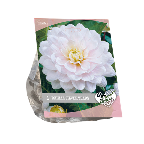 Baltus Urban Flowers - Silver Years per 1