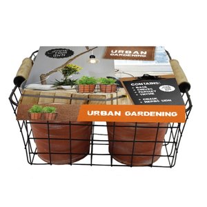 Baltus Urban Gardening Herbs per 4