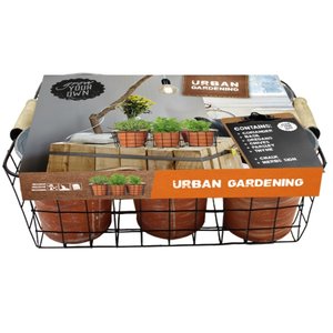 Baltus Urban Gardening Herbs per 6