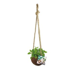 Baltus Urban Jungle Herbs Coconut