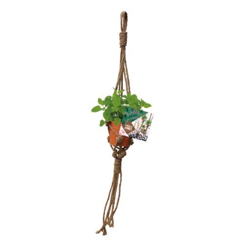 Baltus Urban Jungle Herbs Rope