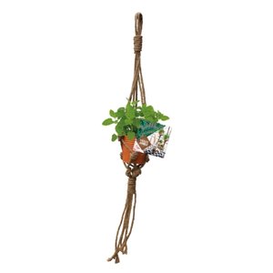 Baltus Urban Jungle Herbs Rope