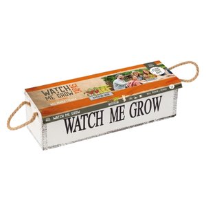 Baltus Watch me grow - Tapas
