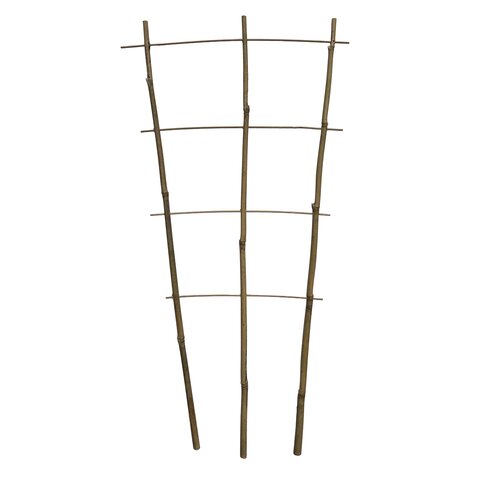 Bamboe Plantensteun B 37 Cm H 77 Cm