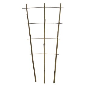 Bamboe Plantensteun B 37 Cm H 77 Cm