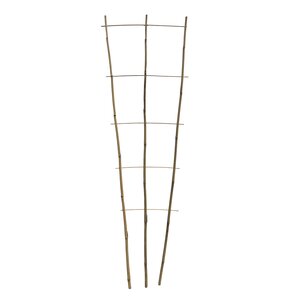 Bamboe Plantensteun B 44 Cm H 160 Cm