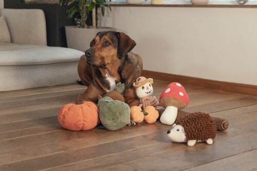 Beeztees Hondenspeelgoed paddenstoel Toad - L20cm Rood - afbeelding 2