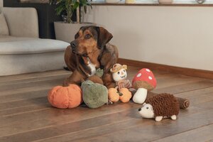 Beeztees Hondenspeelgoed paddenstoel Toad - L20cm Rood - afbeelding 2