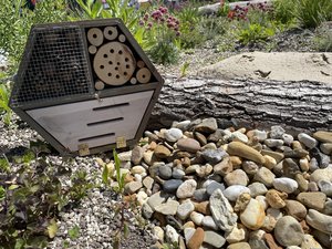 Daktuin Beezzz 'n bio daktuinpakket - afbeelding 2