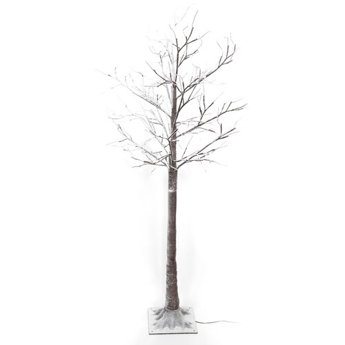 Berkenboom met sneeuw H 160 cm 144L classic warm 5m lead IP44 36V