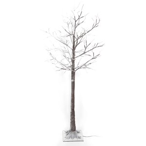 Anna's Collection berkenboom bruin LED casual wit - 160 cm